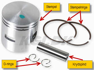 stempel-stempelringe-g-ringe